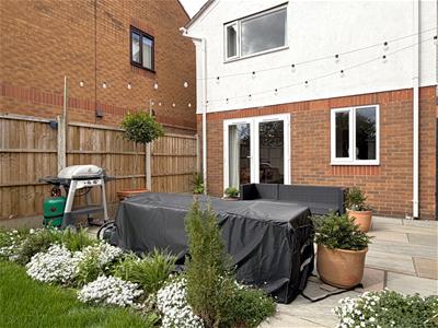 Picture 11